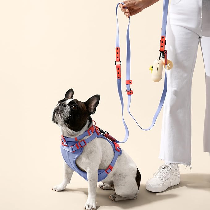 WLK1004E-5SET Luna Small 8FT Adjustable 6-in-1 Waterproof Hands-Free Leash and Collar with LED Flashlight, Bag Dispenser, and Poop Bag Holder, Sangria