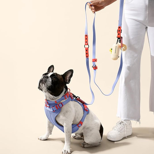WLK1004E-5SET Luna Small 8FT Adjustable 6-in-1 Waterproof Hands-Free Leash and Collar with LED Flashlight, Bag Dispenser, and Poop Bag Holder, Sangria
