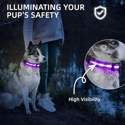 Super Bright LED Dog Collar - Fully Waterproof & Adjustable Glow Collar - USB-C Rechargeable for Night Walking, Safety - Flashing Lighted Collar for Dogs(Purple,Large)