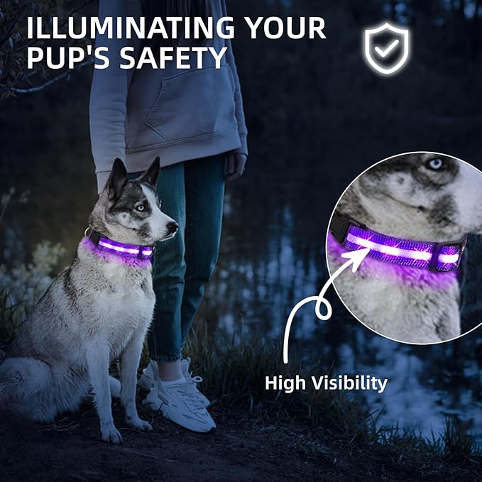 LED Dog Collar for XSmall Dogs & Toy Breeds – USB-C Rechargeable Light Up Dog Collar, Fully Waterproof Adjustable Glow Collar for Night Walking & Safety(Purple,XS)
