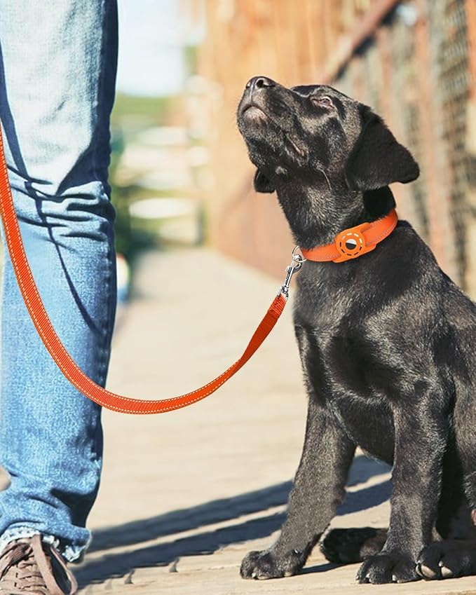 Reflective Dog Leash 4ft Soft Padded Handle Nylon Lead for Small & Medium Dogs, Durable Walking Training Leash for Night Safety (Orange,3/4Inch Wide)