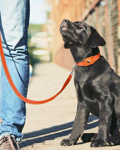 Reflective Dog Leash 6ft Soft Padded Handle Nylon Lead for Medium & Large Dogs, Durable Walking Training Leash for Night Safety (Orange,1Inch Wide)