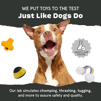 Barkbox Munchie The Bear Dog Toy for Treat Dispensing and Bouncing for Dogs up to 20 lbs, Small