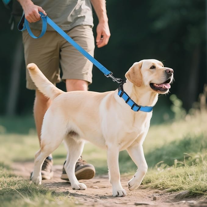 Joytale Reflective Dog Collar, Soft Neoprene Padded, Metal D-Ring, Nylon Pet Collar Adjustable for Large Dogs, Sky Blue, L