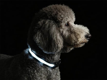 Super Bright LED Dog Collar - Fully Waterproof & Adjustable Glow Collar - USB-C Rechargeable for Night Walking, Safety - Flashing Lighted Collar for Dogs(White,S)