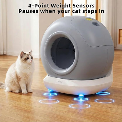 Self-Cleaning Automatic Cat Litter Box, Compact Footprint for Small Spaces & Apartments, Dual Safety Sensors, Jam Auto-Stop, App Control, Child Lock, Best for 1 Cat