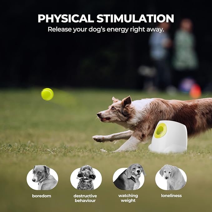 ALL FOR PAWS Automatic Ball Launcher for Dogs Interactive Puppy Pet Ball Outdoor Thrower Fetch Machine, 6 Balls Included (2.5 inch) + Six Tennis Balls Bundle