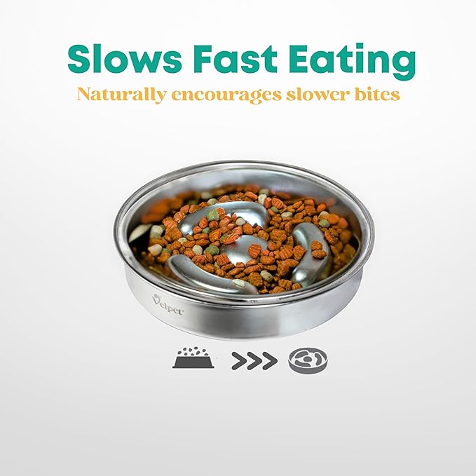 Stainless Steel Slow Feeder Dog Bowl with Absorbent Non-Slip Mat | Designed to Slow Eating | 304 Stainless Steel, Dishwasher Safe, Durable One-Piece Design for All Breeds