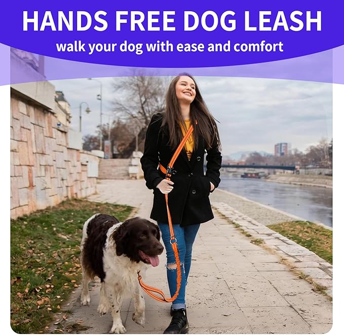 Kazazoo Hands-Free Dog Leash with 5.5-8.5FT Adjustable Length - Heavy Duty No Pull Bungee Design, Reflective Safety for Walking, Jogging & Training | Suitable for Medium to Large Dogs,M Size-Orange