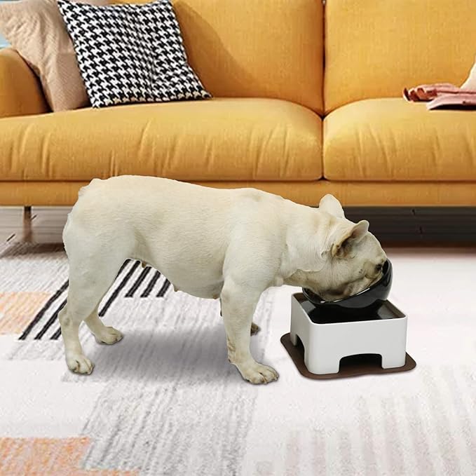 Raised Tilted Dog Feeding Bowl,Elevated Ceramic Dog Bowls Set Anti-Slip,Standing Pet Feeding Dish for Small Medium Dogs and Cats,Black