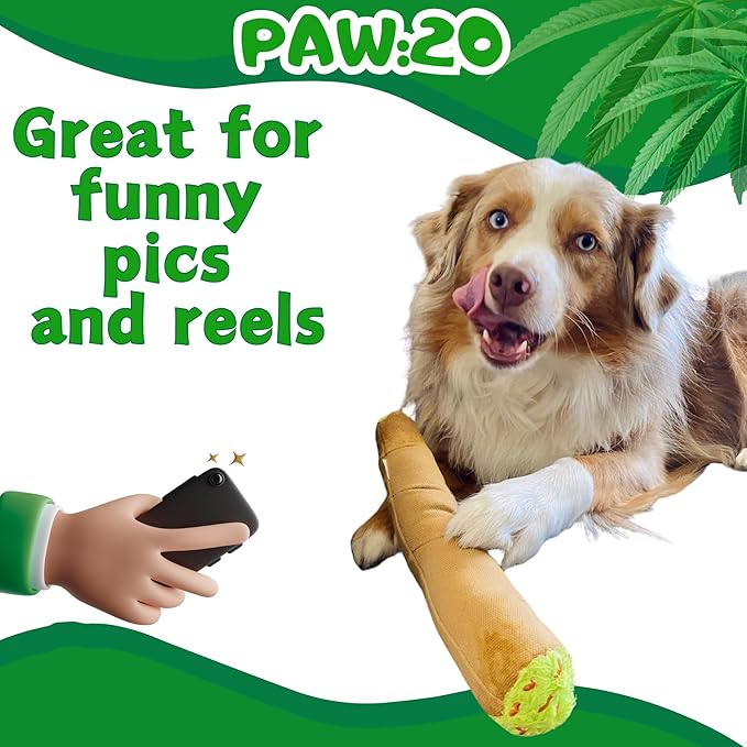 My Name is B, Cute Stuffed Parody Blunt Dog Toy, Funny Squeaky Weed Toy, Cool Plush Novelty 420 Gift for Pets & Their Owners, Sized for Puppies & Small, Medium & Large Breeds, For Fetch & a Photo Prop
