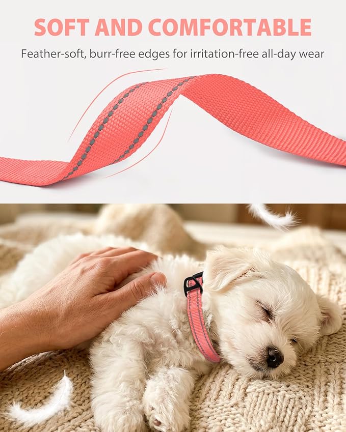 Joytale Small Dog Collar, Durable Double-Sided Reflective Nylon Collar for Night Safety, Adjustable Quick-Release for Active Breeds, Pink, S (3/4" Width)