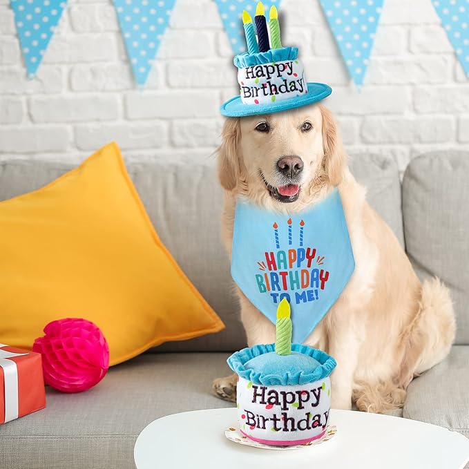 Dog Birthday Cake Toy, Happy Birthday Cake Shaped Squeaky Dog Toys for Medium & Large Dogs Funny Dogs Gifts Plush Dog Party Toys, Large, Blue
