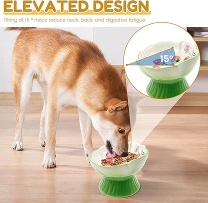 Ceramic Raised Slow Feeder Cat Bowl, Ceramic Elevated Small Cat Food Bowl, 15°Titled Food Bowls Small Dogs Slow Feeder, Strawberry Shaped Cute Pet Dish for Dry and Wet Foods(Green)