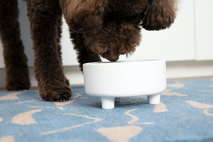 Waggo Uplift Ceramic Dog Bowl for Small Medium and Large Breeds - Heavyweight and Durable Pet Food and Water Dish Crock, Dishwasher Safe, Modern, Elevated Feeder (White, Large)