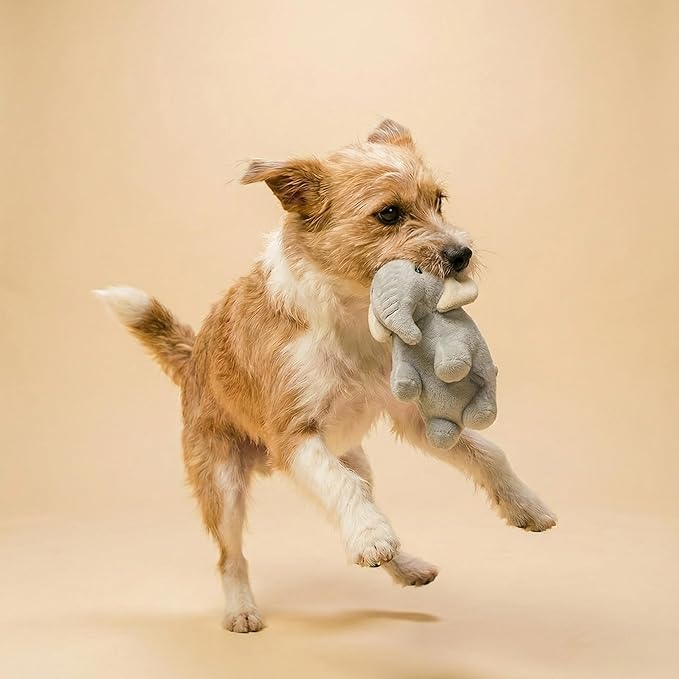 Dog Toys | Plush Toy Elephant Stuffed Animal for Dogs | Medium Eco Friendly Toy - Easy to Clean and Made from Non Toxic Materials