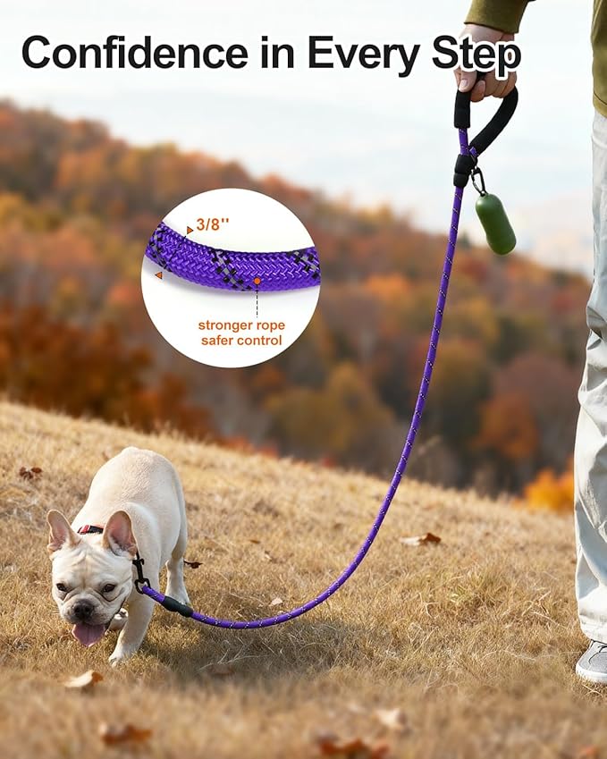 Joytale Dog Leash for Small Dogs, Heavy Duty Nylon Leashes with Comfortable Padded Handle and Highly Reflective Threads, Ideal for Walking and Training, Purple, 5'×3/8''
