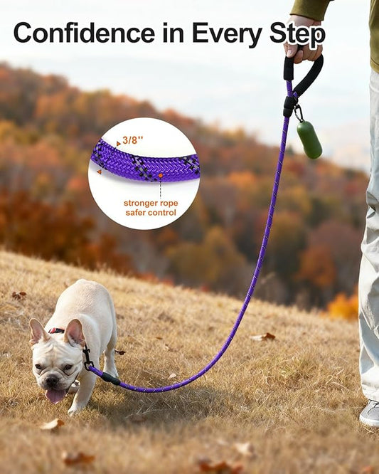 Joytale Dog Leash for Small Dogs, Heavy Duty Nylon Leashes with Comfortable Padded Handle and Highly Reflective Threads, Ideal for Walking and Training, Purple, 5'×3/8''