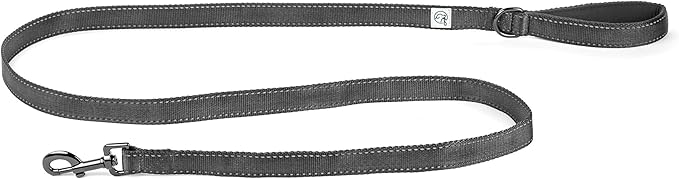Embark Adventure Dog Leashes - Colorful, Strong, and Sturdy Dog Leash for Small, Medium, and Large Breed Dogs (Black, 5 Ft)