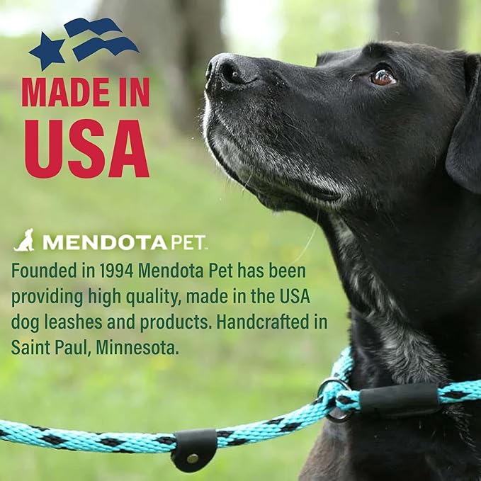 Mendota Pet Snap Leash - British-Style Braided Dog Lead, Made in The USA - Amethyst, 1/2 in x 4 ft - for Large Breeds