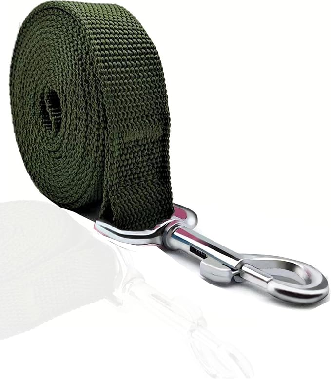 TAIAN 4FT/5FT/6FT Strong Dog Leash, Nylon Dog Leashes for Small Medium Large Dogs (3/4 in x 5 ft, Green)