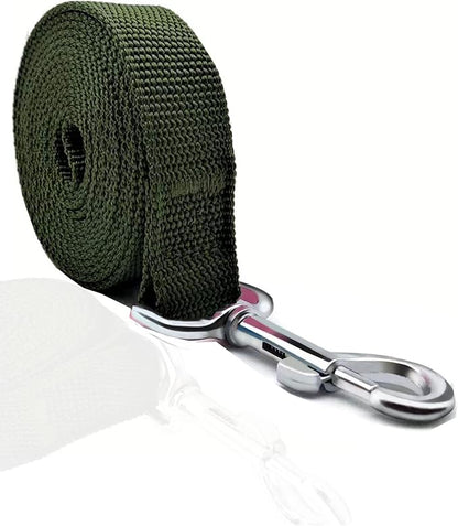 TAIAN 4FT/5FT/6FT Strong Dog Leash, Nylon Dog Leashes for Small Medium Large Dogs (3/4 in x 5 ft, Green)