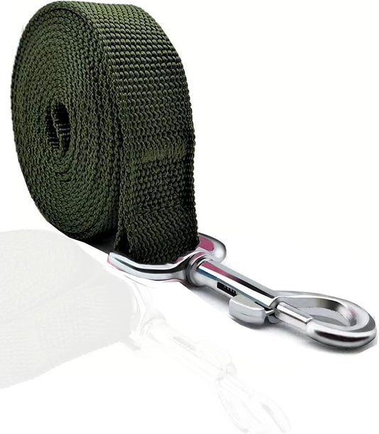 TAIAN 4FT/5FT/6FT Strong Dog Leash, Nylon Dog Leashes for Small Medium Large Dogs (1 in x 4 ft, Green)