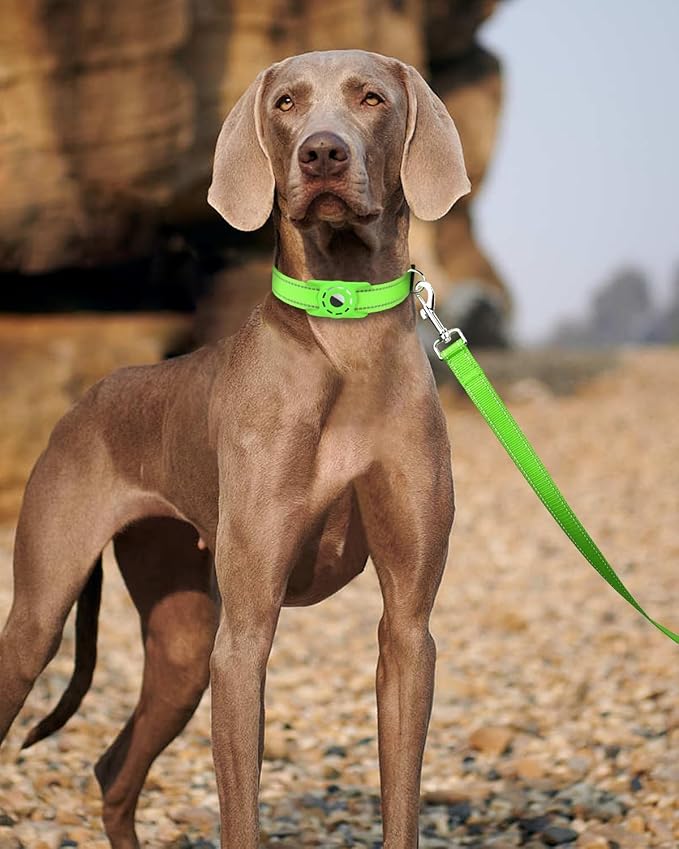 Reflective Dog Leash 4ft Soft Padded Handle Nylon Lead for Small & Medium Dogs, Durable Walking Training Leash for Night Safety (Green,1Inch Wide)