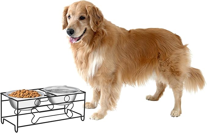 Set of 2 Stainless Steel Dog Bowls - 40oz Pet Bowls with Decorative Dog Food Stand - Metal Food and Water Dishes for Large Pets - Puppy Essentials by PETMAKER (Silver/Black)