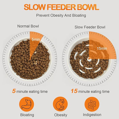 Raised Slow Feeder Cat Bowl, 5.9 Inch Wide Shallow Ceramic Elevated Glass Food Bowl Puzzle Feeders, Anti Vomit Cat Dish, Whisker Friendly Pet Plates Feeding Station for Indoor Cats, Kitten(1 Set)