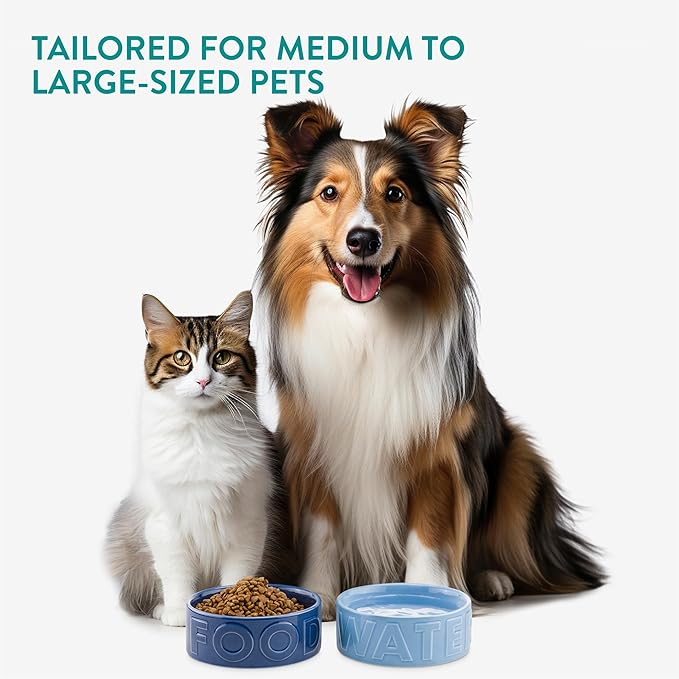 Navaris Dog Food and Water Bowl Set - 16 cm (6.3") Ceramic Bowls for Medium and Large Dogs or Big Cats - 700 ml (23.7 oz) Feeding Dish - Light Blue/Dark Blue