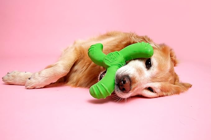 Hartz DuraPlay Bacon Scented Dog Toys, Medium/Large (Colors May Vary) All Breed Sizes (Pack of 2)