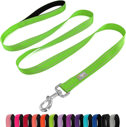 Dog Leash 6 FT Padded Handle Nylon Reflective Dogs Leashes for Medium Dogs Green