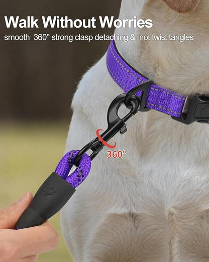 Joytale Dog Leash for Large Dogs, Heavy Duty Nylon Leashes with Comfortable Padded Handle and Highly Reflective Threads, Ideal for Walking and Training, Purple, 5'×1/2''