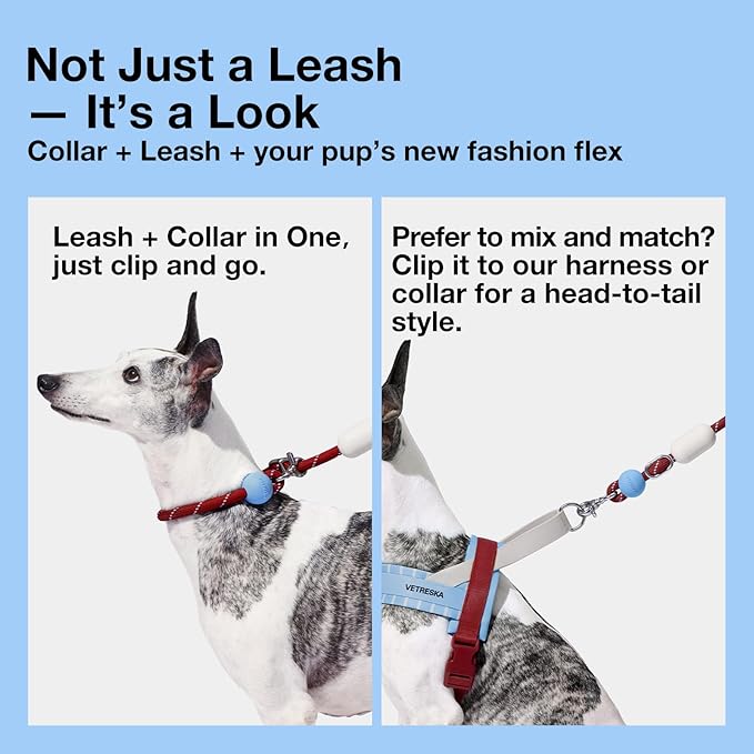 VETRESKA Hands-Free Dog Leash, 8FT Rope Leash for Medium Large Dogs, Waist/Crossbody Slip Lead Leashes for Walking, No Pull Dog Leashes with Bag Dispenser, 2 in 1 Walk Kit (Mist&Merlot)