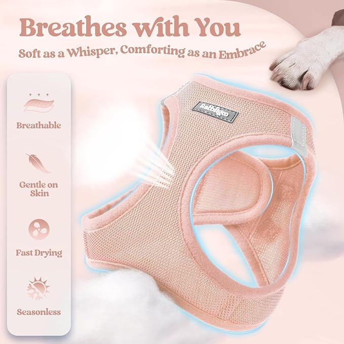 rabbitgoo Dog Harness Small Sized and Leash Set, Step in Soft Light Puppy Vest, Breathable Mesh Pet Harness, Reflective for Safe Outdoor Walking, Pink M