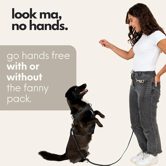 Hands Free Dog Leash with Treat Pouch – Waterproof Cross Body & Waist Leash for Dog Walking and Training with Poop Bag Holder - Cute Walking Accessories for Medium and Large