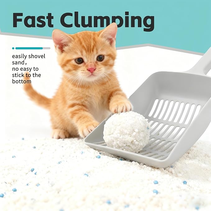 Tapioca Cat Litter, Cassava Cat Litter Odor Control Dust-Free Clumping Litter