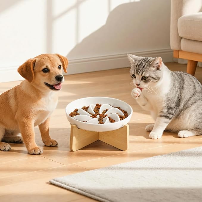 PETTOM Slow Feeder Cat Bowl with Stand, Ceramic Slow Eating Cat Bowl with Higher Edges, Elevated Cats Food Bowls for Dry and Wet Food Anti-Vomiting Puzzle Feeder for Healthy Eating Diet