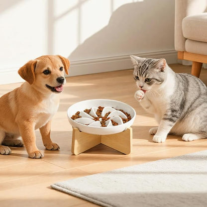 PETTOM Slow Feeder Cat Bowl with Stand, Ceramic Slow Eating Cat Bowl with Higher Edges, Elevated Cats Food Bowls for Dry and Wet Food Anti-Vomiting Puzzle Feeder for Healthy Eating Diet