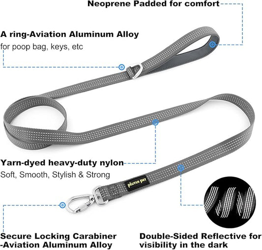 Plutus Pet Heavy Duty Dog Leash with Lockable Aluminum Carabiner, 4/6 Feet Long, Double-Sided Reflective Nylon, Padded Handle, for Puppy, Small, Medium and Large Dogs (Gray, 4/5" x 6')