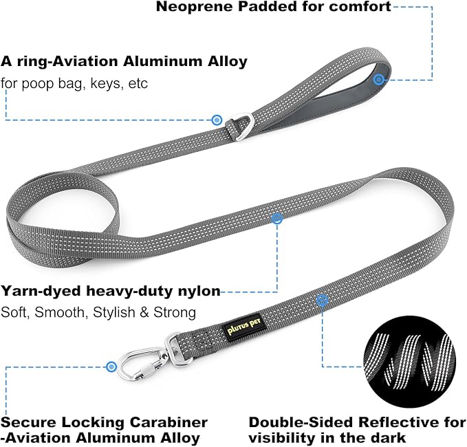 Plutus Pet Heavy Duty Dog Leash with Lockable Aluminum Carabiner, 4/6 Feet Long, Double-Sided Reflective Nylon, Padded Handle, for Puppy, Small, Medium and Large Dogs (Gray, 4/5" x 4')