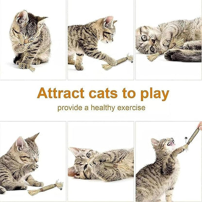 Natural Silvervine Dental Sticks, Silvervine Sticks for Cats, Natural Dental Stick (5pc)