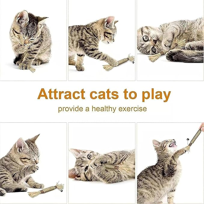 Natural Silvervine Dental Sticks, Silvervine Sticks for Cats, Natural Dental Stick (3pc)
