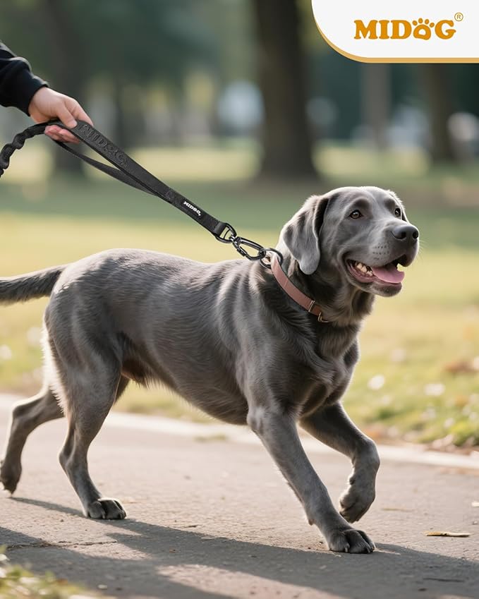 MIDOG Dog Leash with Zipper Pouch,Multifunctional Bungee Leash for Medium to Large Sized Dog Walking