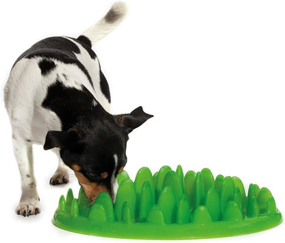Company of Animals GREEN Slow Interactive Feeder for Dogs, Size Large, Best Fun Slow Feeder Dog Bowl, Anti-Gulp, Gobble Stopper, Mental Stimulation Dog Puzzle, Suitable for Small, Medium & Large Dogs