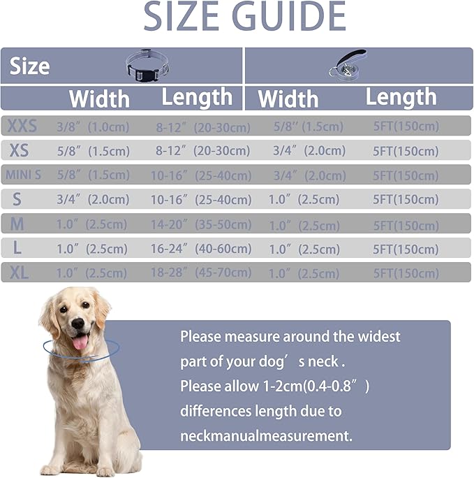 Reflective Dog Collar with Safety Locking Buckle, Adjustable Soft Breathable Nylon Collars for Small, Medium and Large Dogs(Collar+Leash XS Width 3/8" Gray)