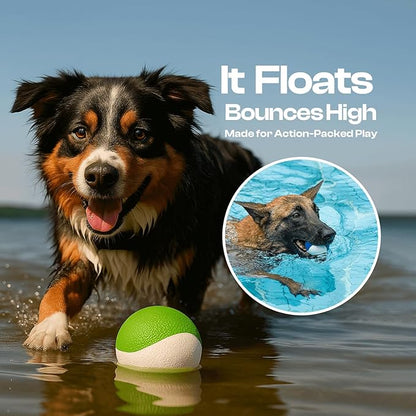 Squeaky Dog Toy – Durable Rubber Dog Ball for Medium & Large Dogs, Tough Interactive Fetch Toy for Chewers, Outdoor Training & Play Ball, Floating Water Play Gift.Green White