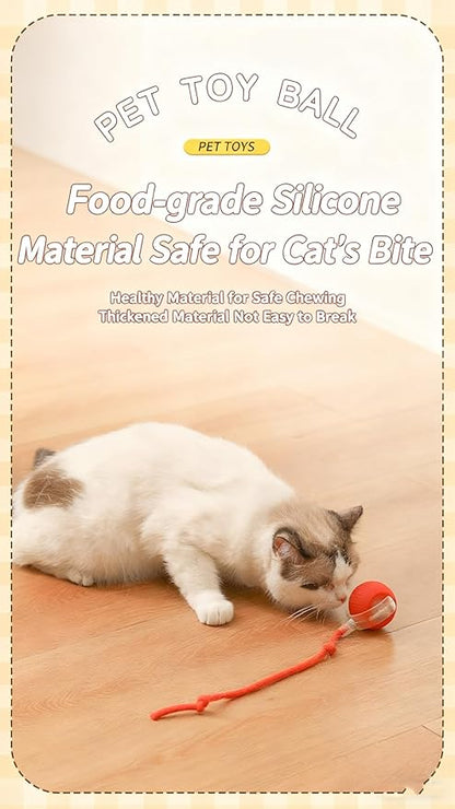 RightBliss Automatic Interactive Cat Dog Toy with Elastic Tail: Chirping Sound, Smart Obstacle Avoidance for Indoor Cats & Kittens(Feathered-Tail Gray Ball)