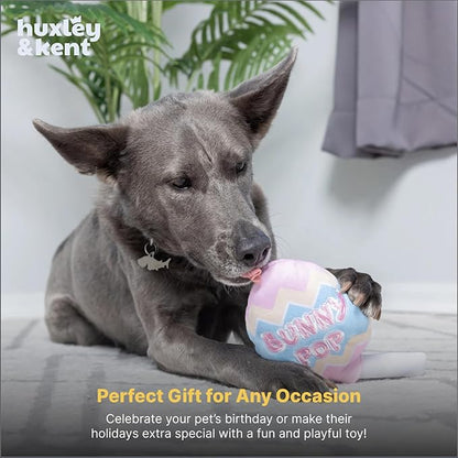 Huxley & Kent Funny Dog Toy w/Squeaker – Power Plush Squeaky Dog Toys for Small, Medium & Large Dogs – Soft Stuffed Animal for Indoor Play & Fetch - Bunny Pop, Large
